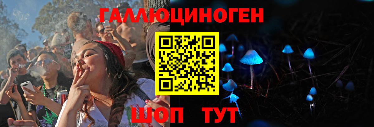 Рязань  Псилоцибиновые грибы Psilocybine cubensis  Галлюциногенные грибы мухоморы  Вход с VPN 