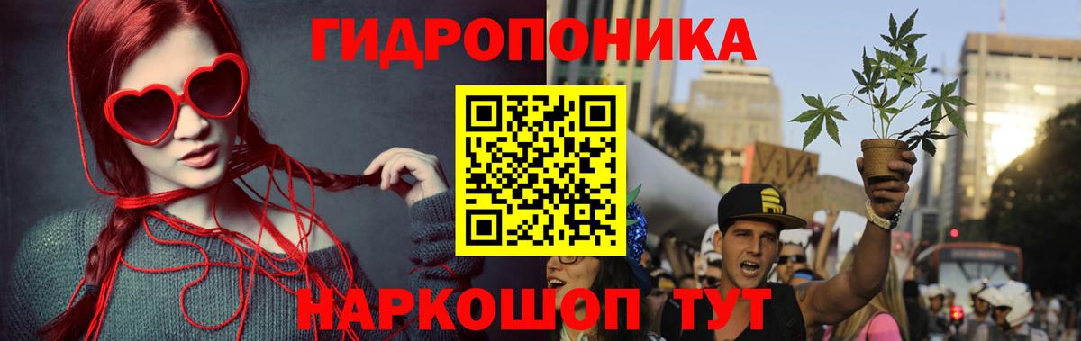 Конопля сатива Рязань